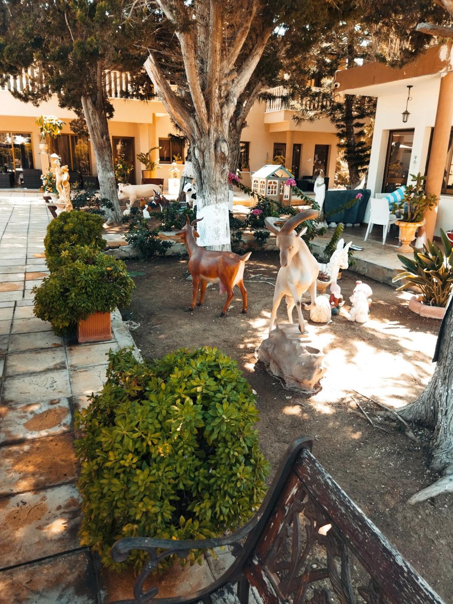 Anastasia Holiday Apartments Πάφος Εξωτερικό φωτογραφία